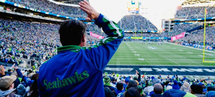 Seahawks fan celebrating in the stands